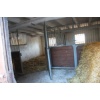 3 - Blick in den Boxenstall