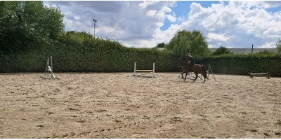 Lauser in Aktion Reitplatz